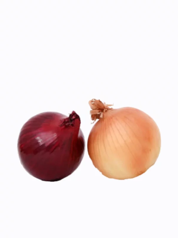 Cebolla